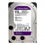 HD WD Purple Surveillance, 8TB, Sata III, 5640RPM, 256MB - WD85PURZ