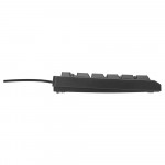 Teclado Multilaser, USB, TF600, Básico, Slim, Preto - TC600