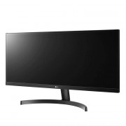 Monitor LG 29