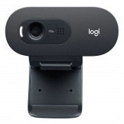 Webcam Logitech C505E V.C, 720P HD, 30 FPS, com Microfone, 3 MP, USB, Preto - 960-001372-R