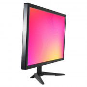 Monitor Soyo 20